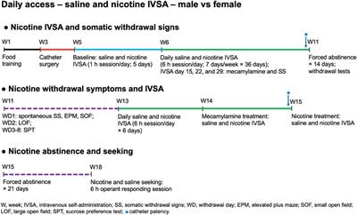 Sex differences in nicotine intake and relapse behavior in nicotine-dependent adult wistar rats